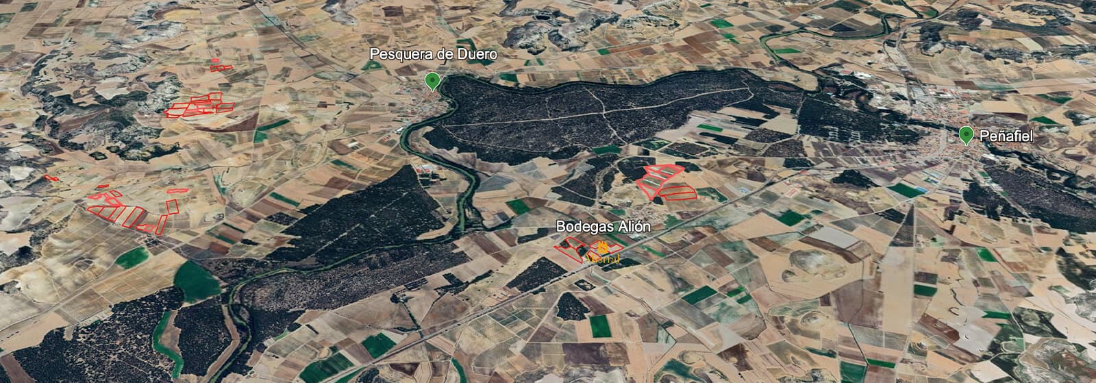 Mapa do terroir - Alión 2019