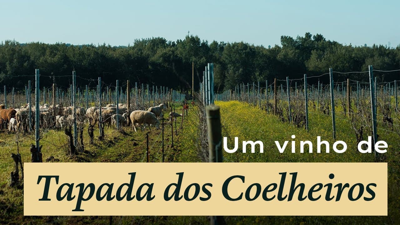 Tapada Coelheiros - Thumbnail