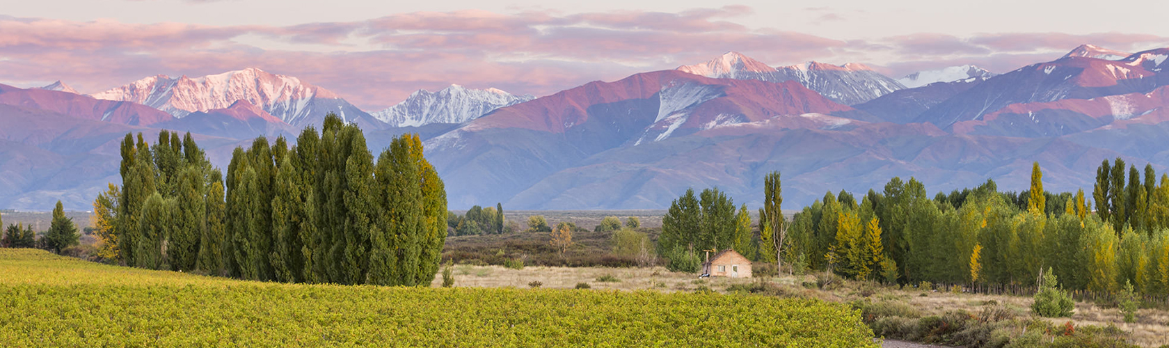 Como escolher um vinho argentino?